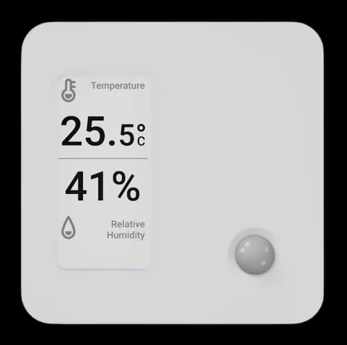 ERS Display LoRa